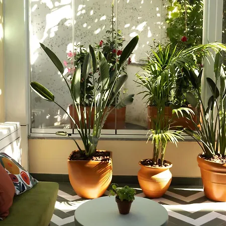Ibis Parque Nacoes 3* Lisboa